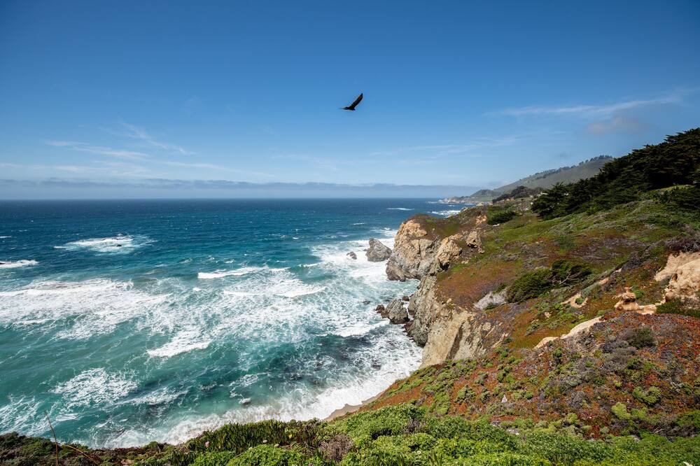 Photo of Others in Carmel