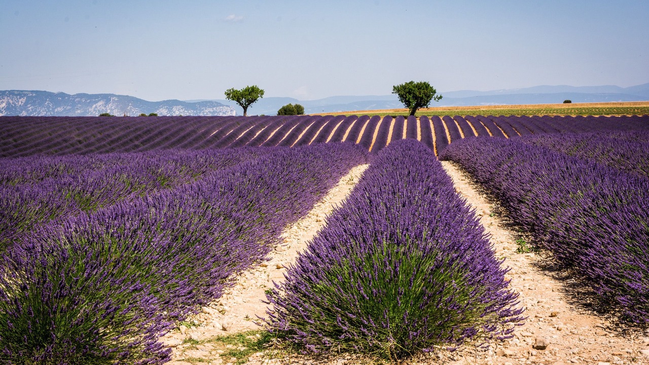 Photo of Others in Draguignan