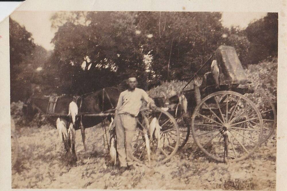 Photo of Others in Gainesboro
