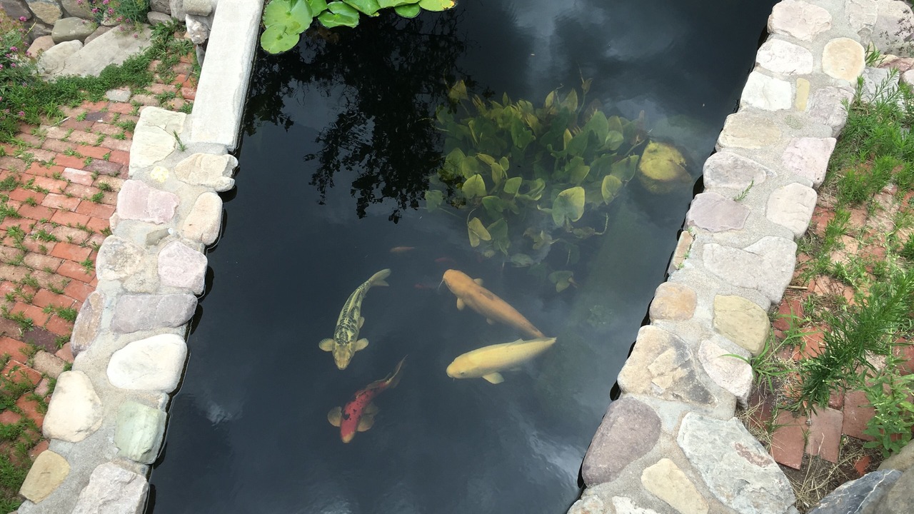 Photo of Outdoor in Bisbee