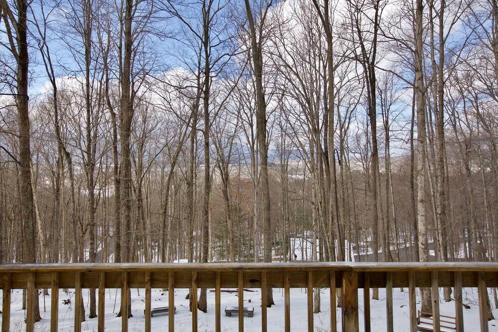 Photo of Patio Balcony in Manchester Center