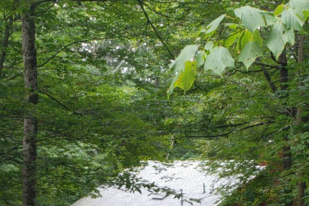 Photo of Outdoor in Manchester Center