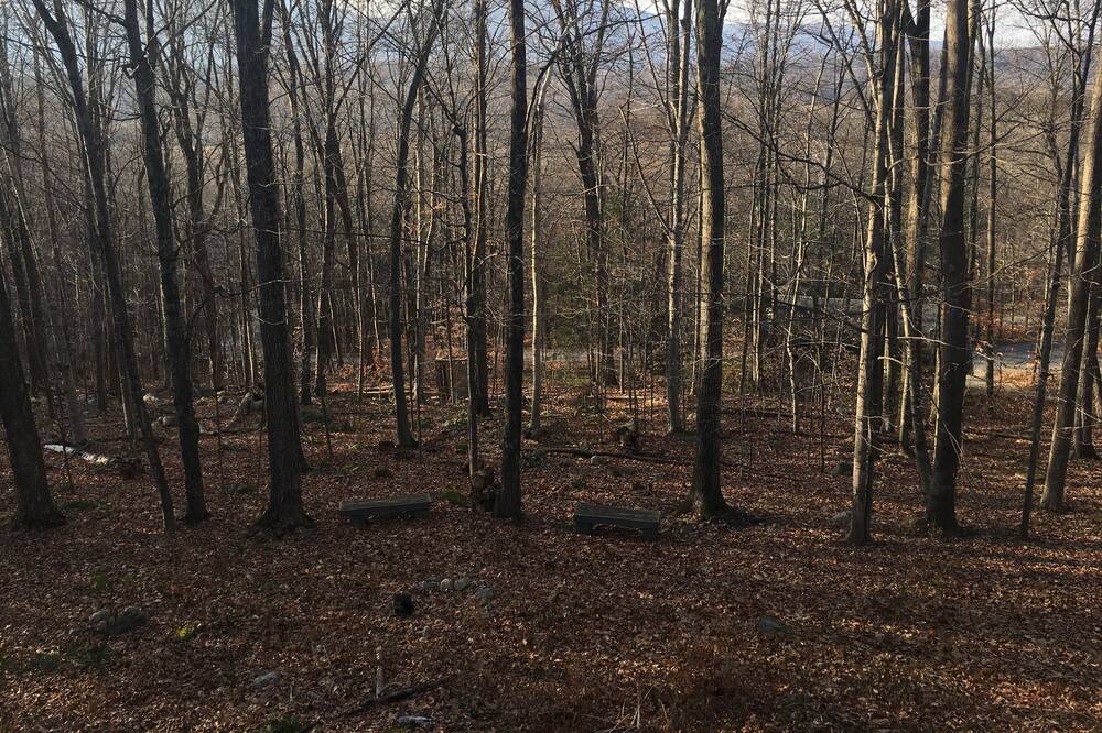 Photo of Outdoor in Manchester Center