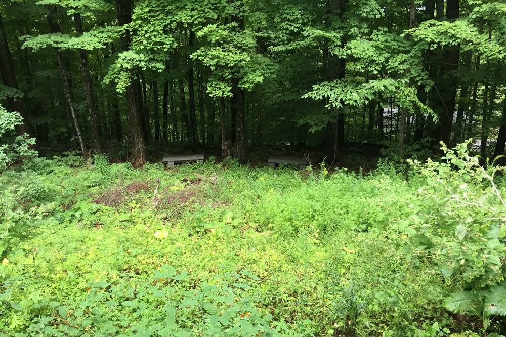 Photo of Outdoor in Manchester Center