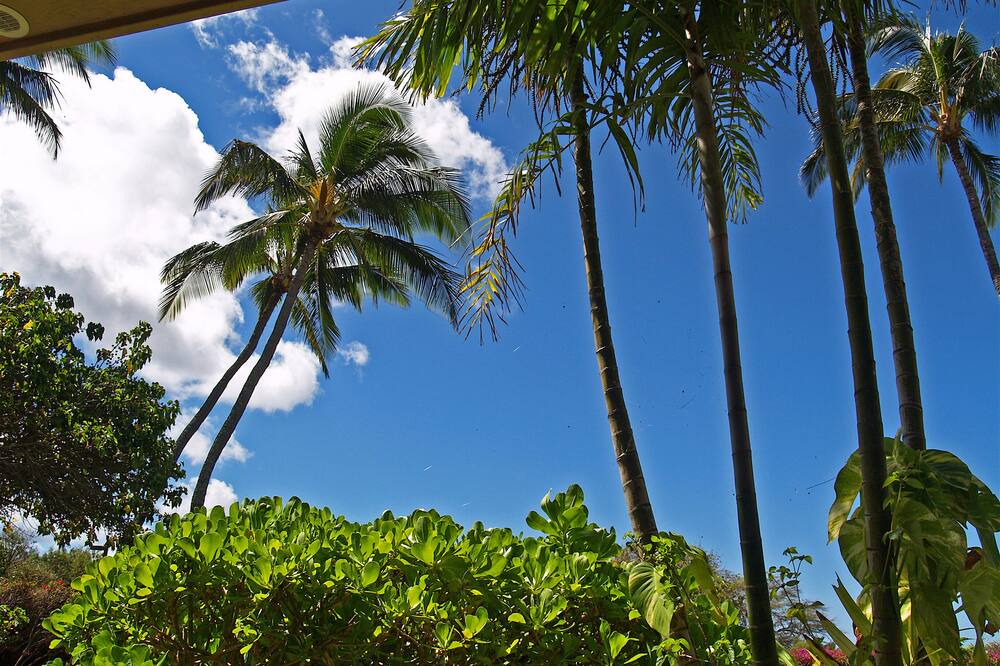 Photo of Outdoor in Maunaloa