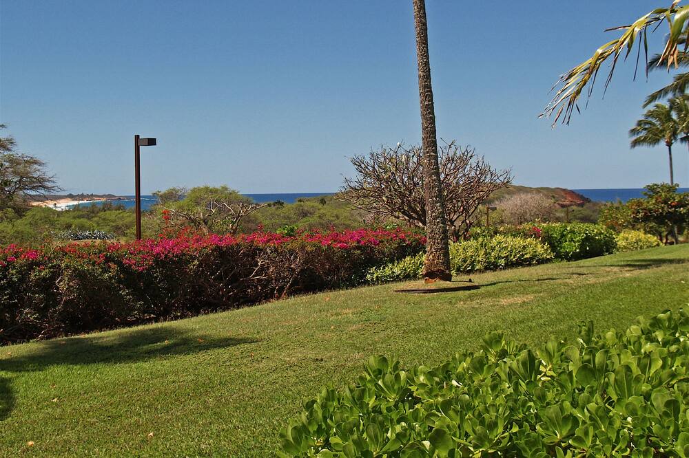 Photo of Outdoor in Maunaloa