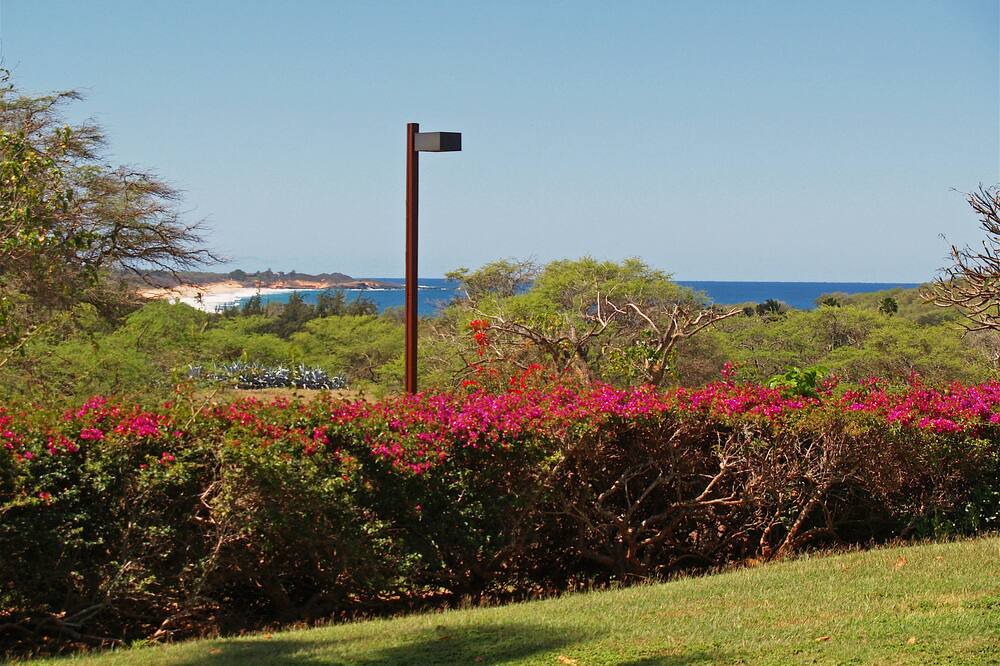 Photo of Outdoor in Maunaloa