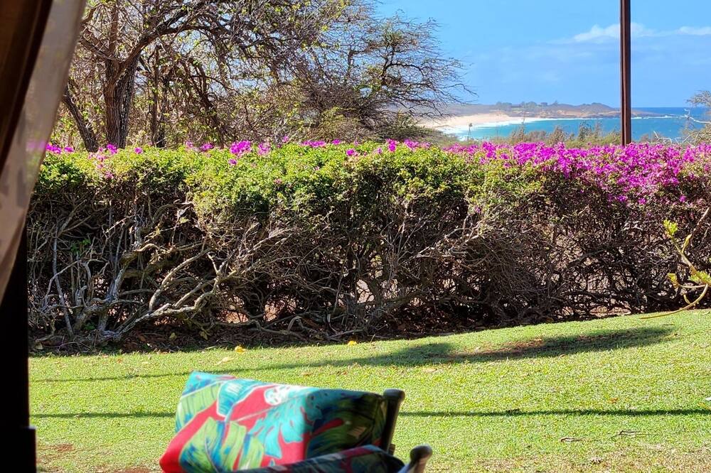 Photo of Others in Maunaloa