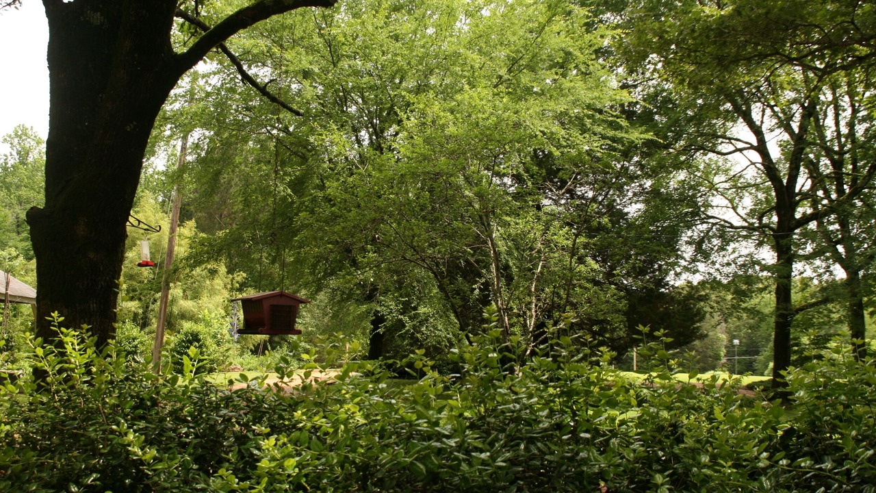Photo of Outdoor in Coldwater
