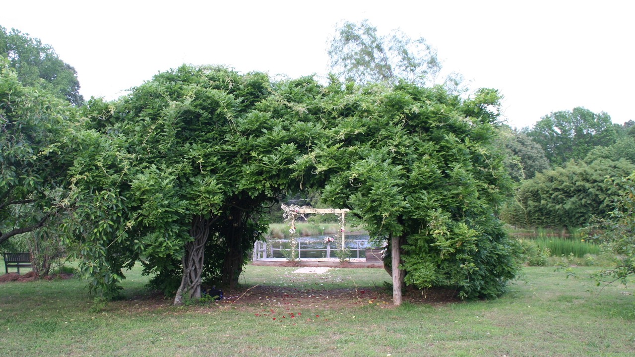 Photo of Outdoor in Coldwater
