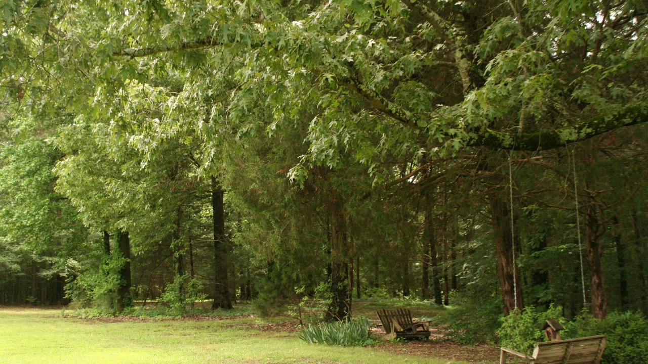 Photo of Outdoor in Coldwater