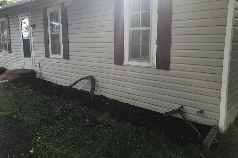 Photo of Outdoor in Tiptonville