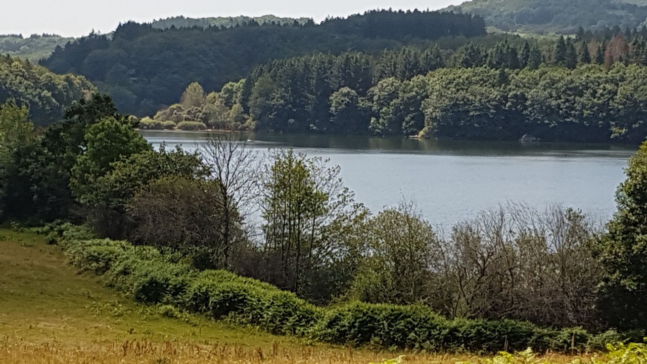 Photo of Others in La Salvetat-sur-Agout