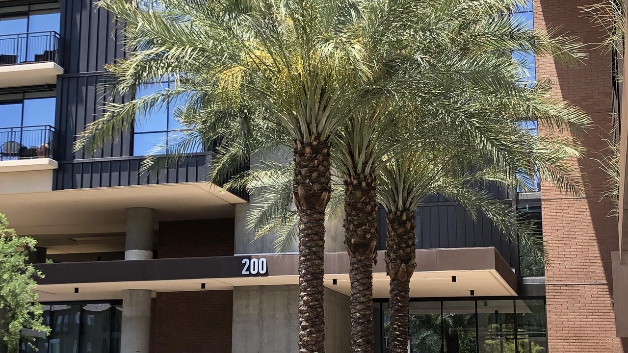 Photo of Outdoor in Roosevelt
