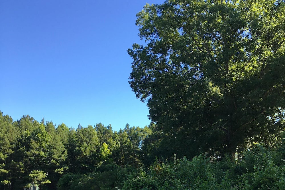 Photo of Outdoor in Capron
