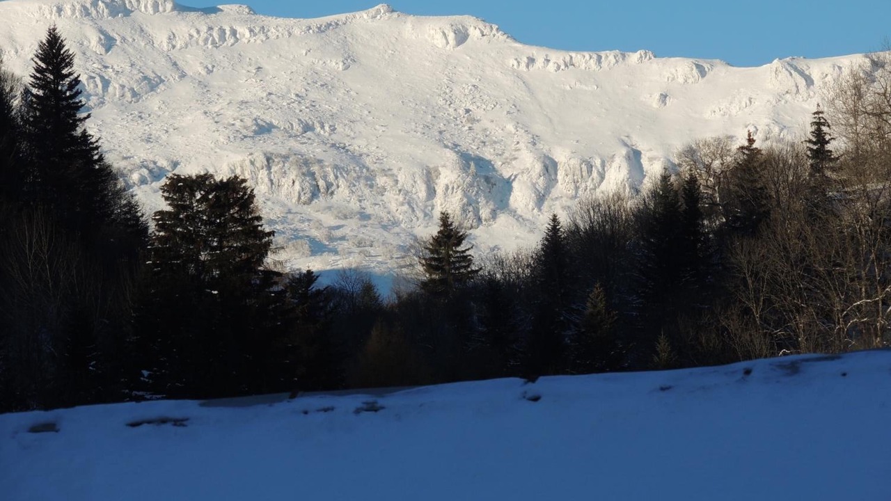 Photo of Others in Albepierre-Bredons