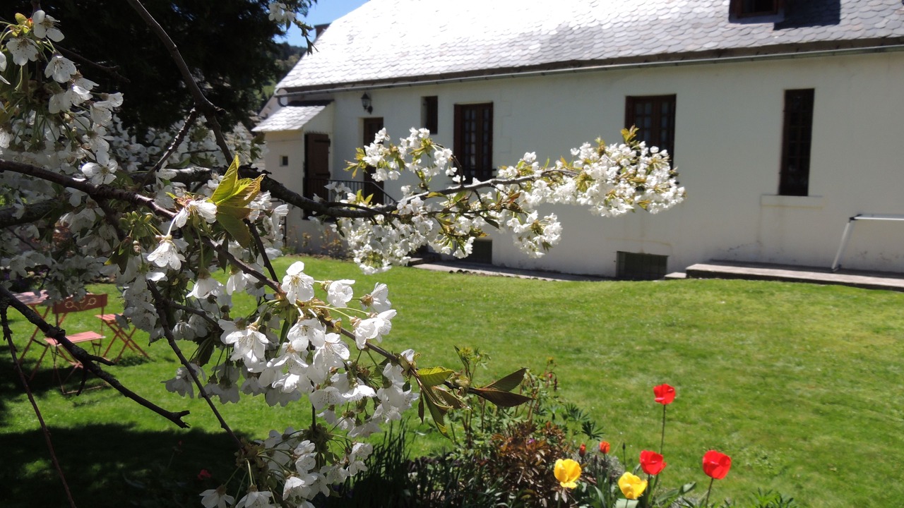 Photo of Outdoor in Albepierre-Bredons