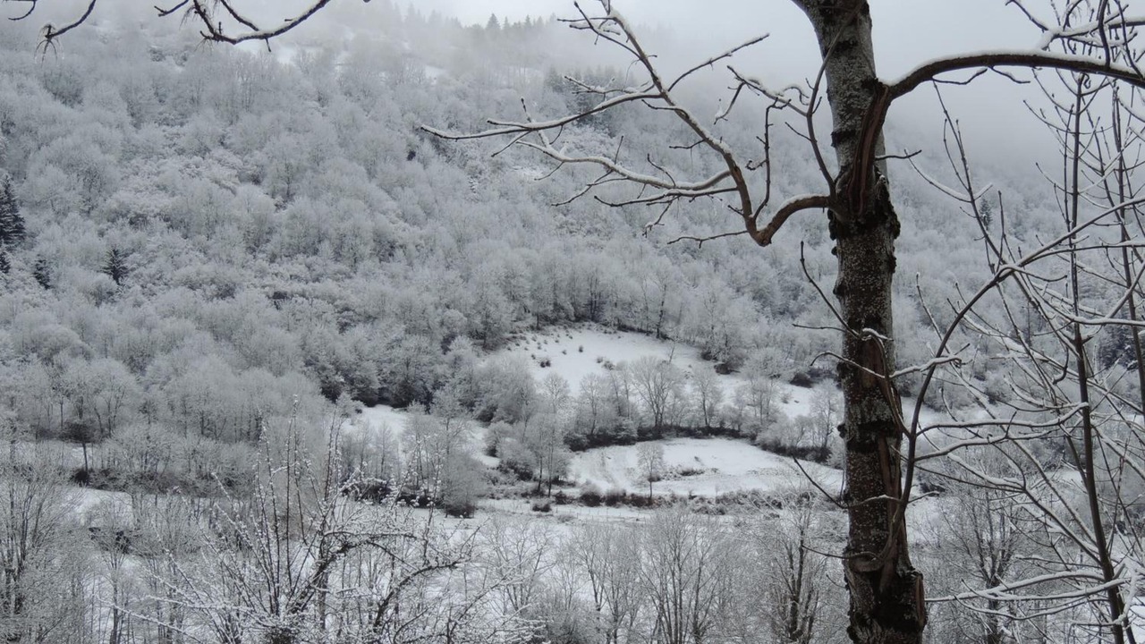 Photo of Outdoor in Albepierre-Bredons