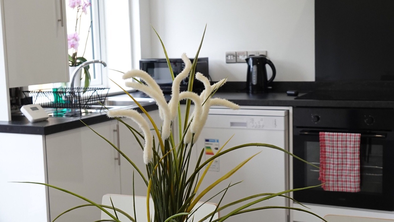 Photo of Others in London Borough of Hounslow