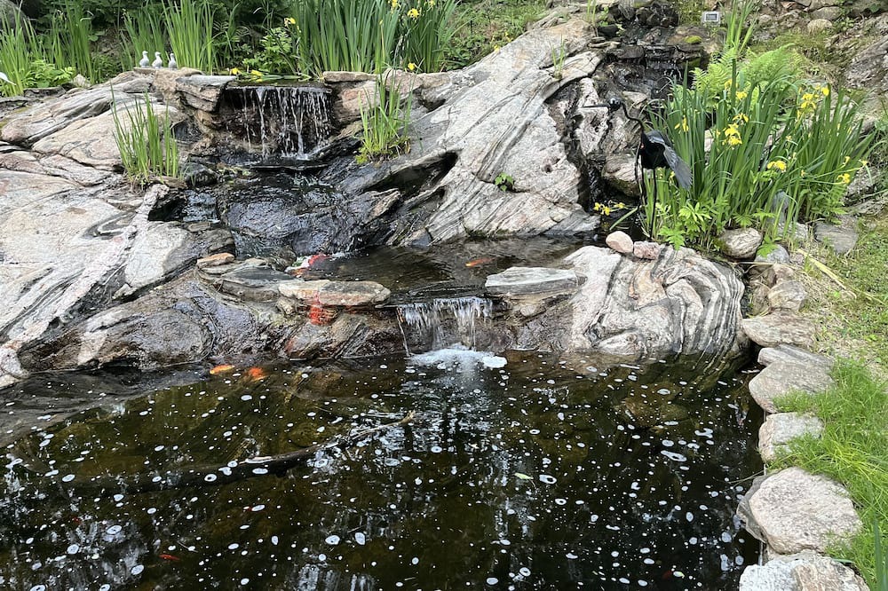 Photo of Others in Georgian Bay