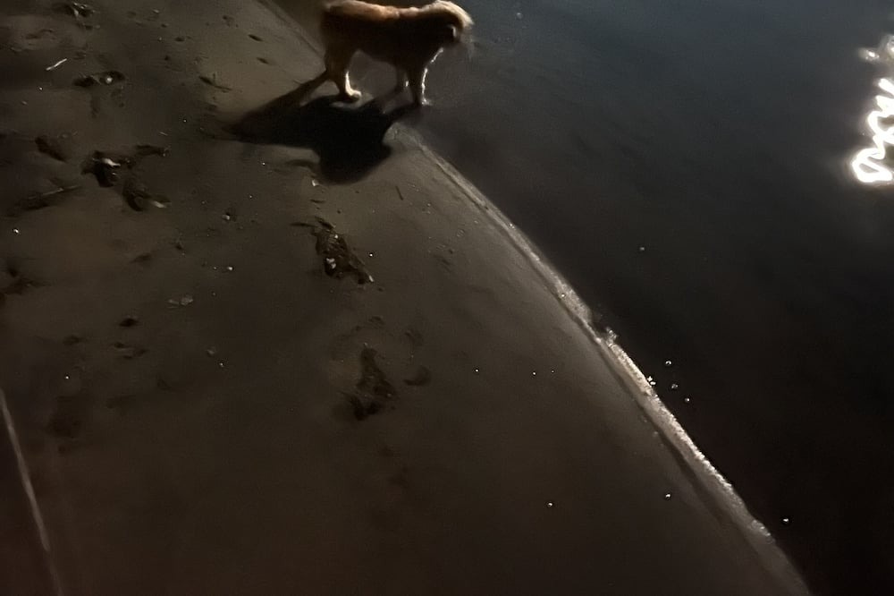 Photo of Others in Georgian Bay