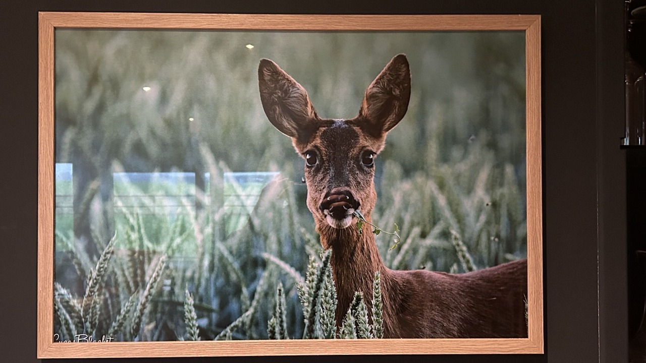 Photo of Others in Morienval