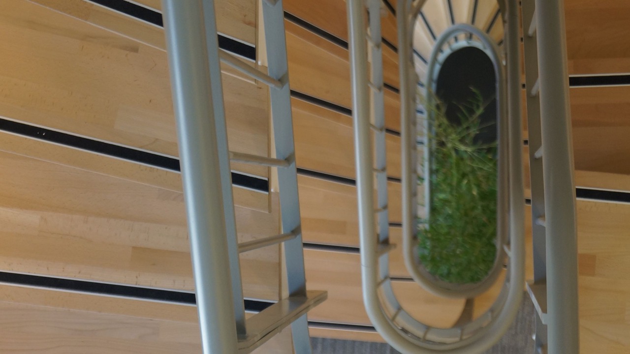 Photo of Others in Seyssel