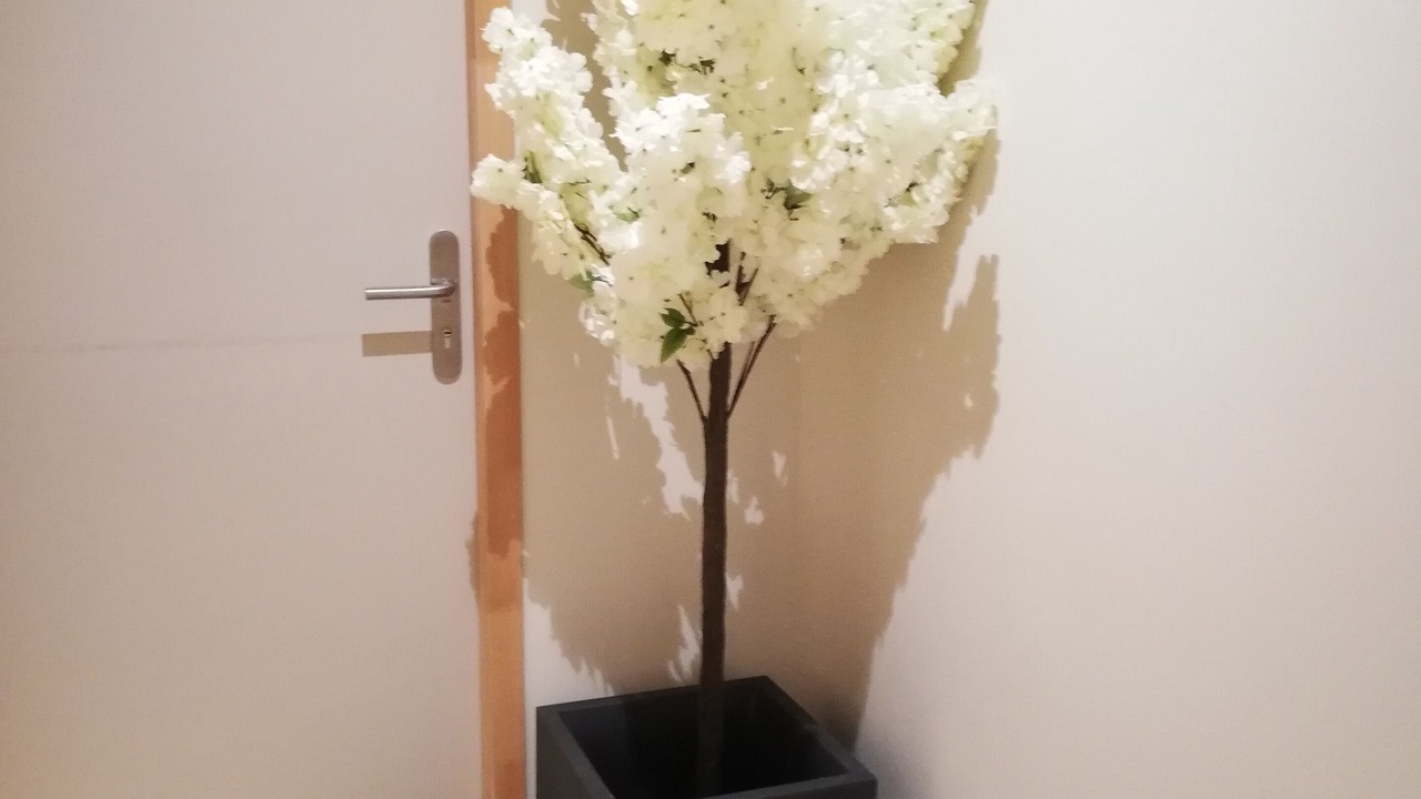 Photo of Others in Seyssel