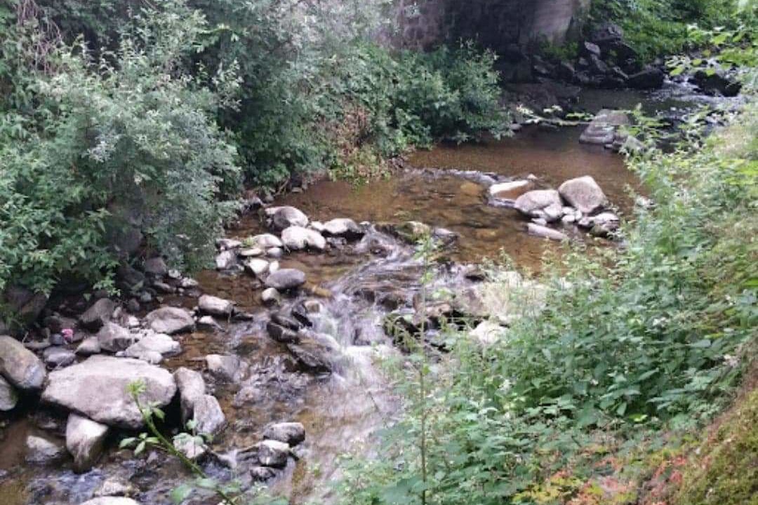 Photo of Outdoor in Ferrieres-Saint-Mary