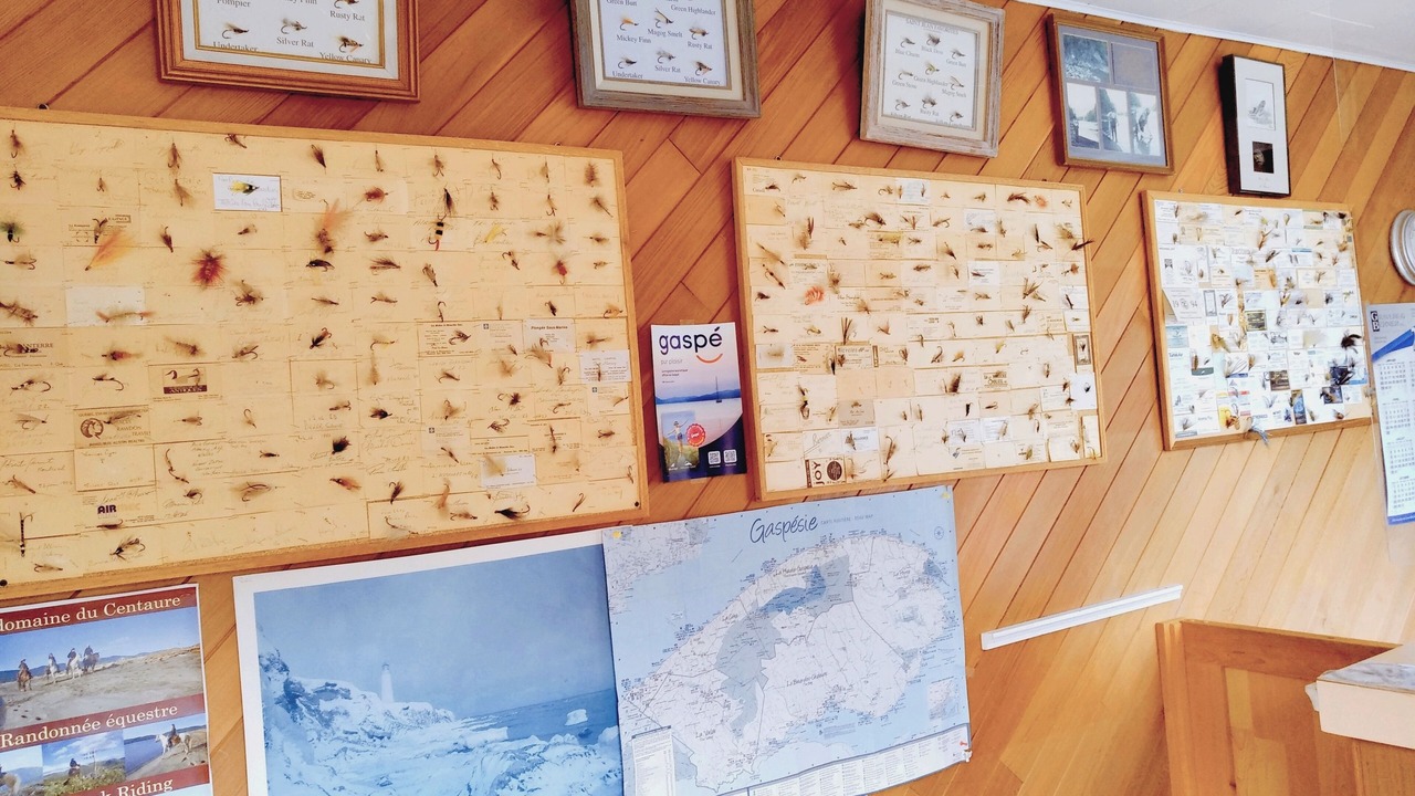 Photo of Others in Gaspe
