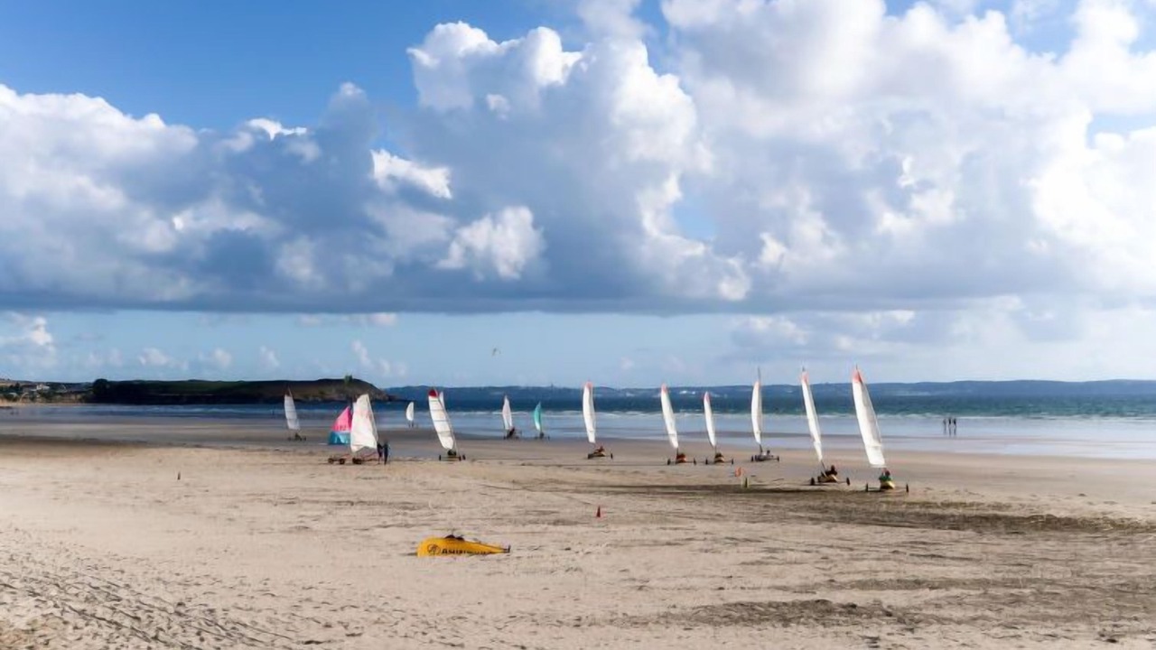 Photo of Others in Cast