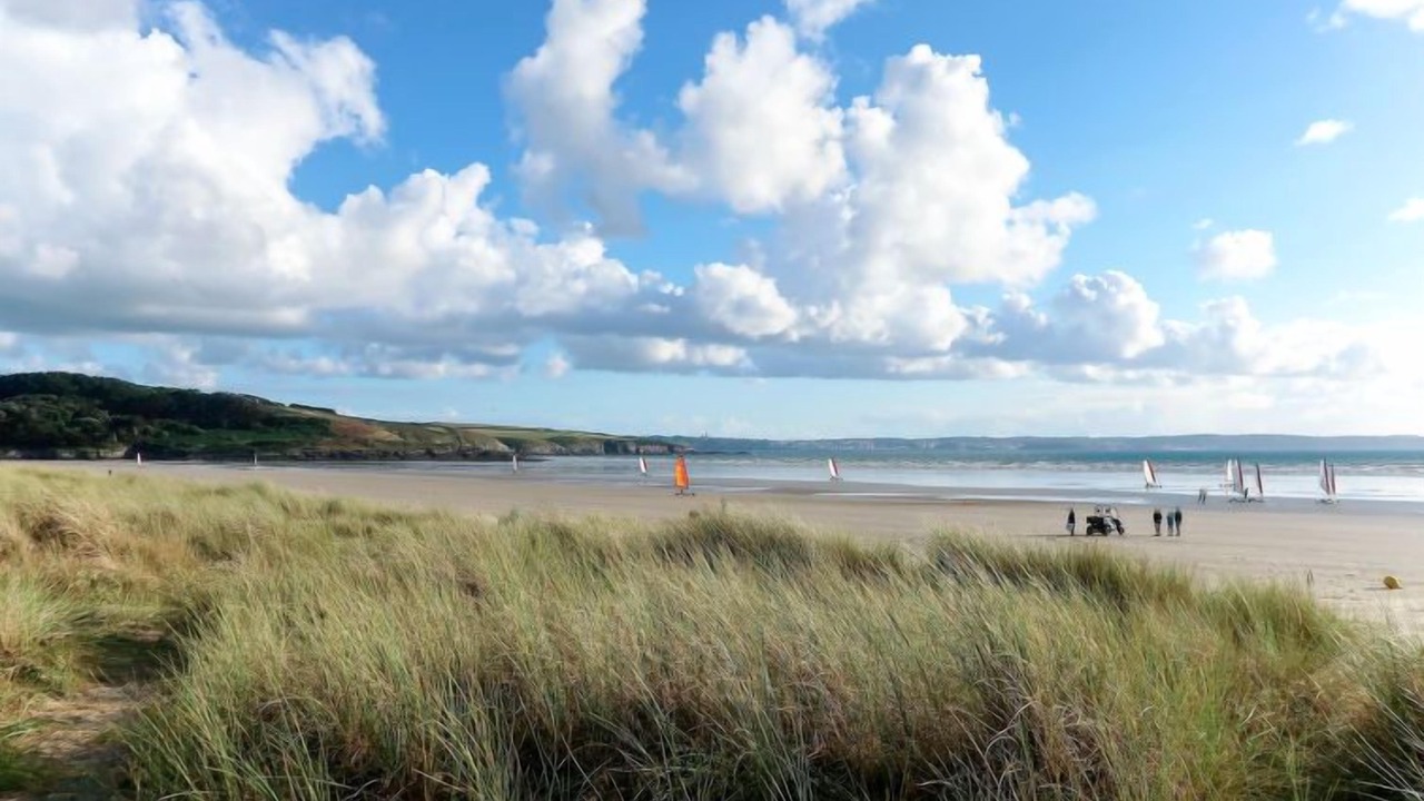 Photo of Others in Cast