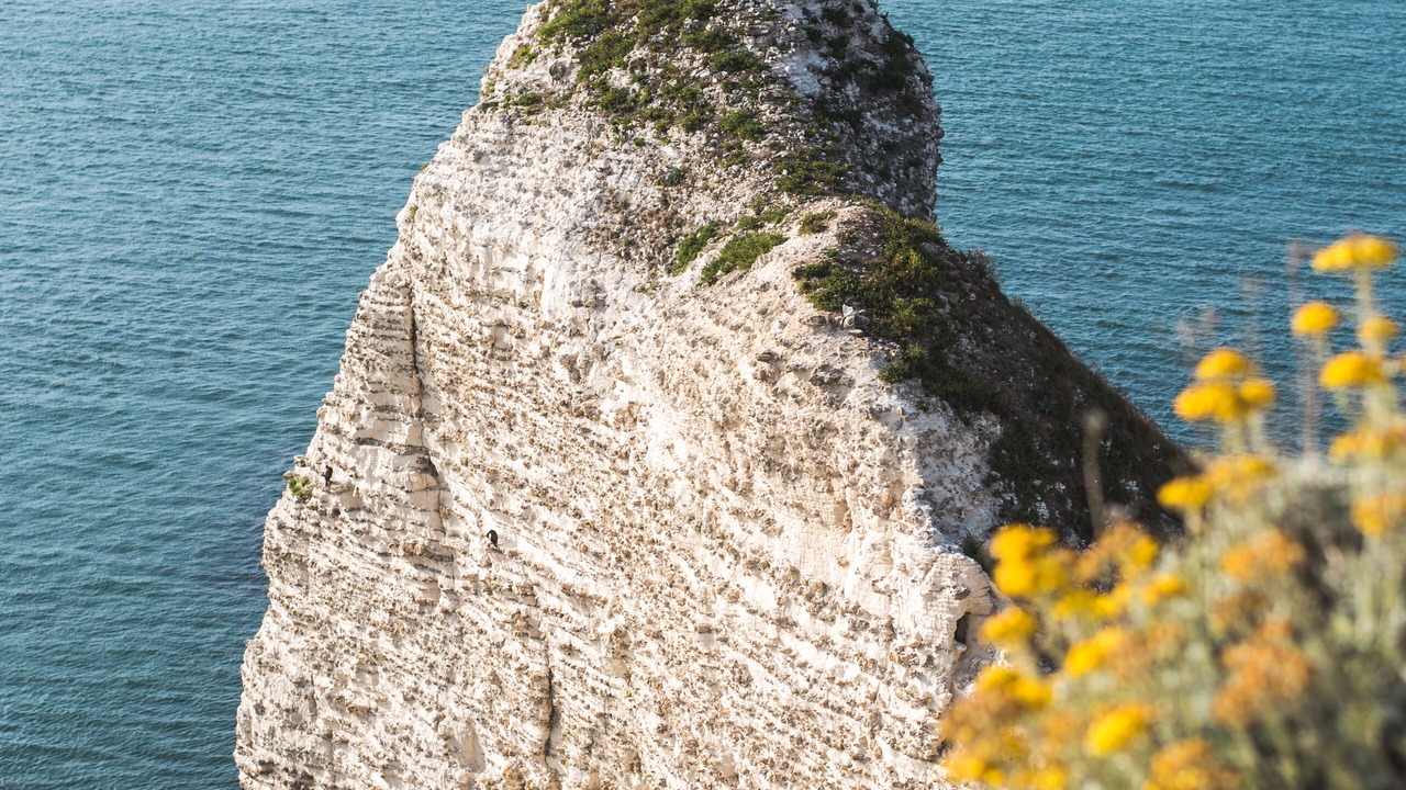 Photo of Livingroom in Etretat