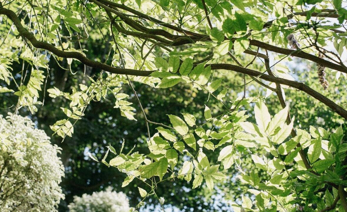 Photo of Outdoor in Etretat