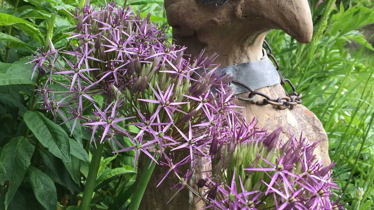 Photo of Outdoor in Somerton