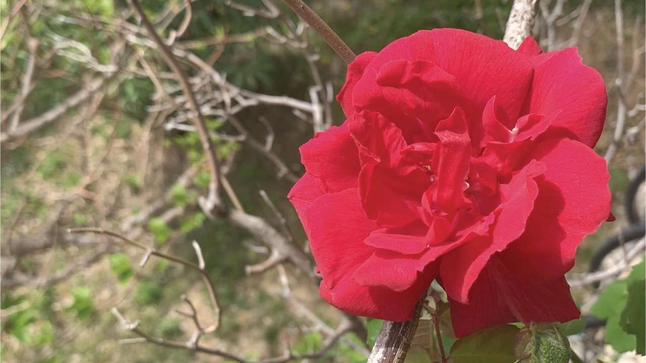 Photo of Outdoor in Seillans