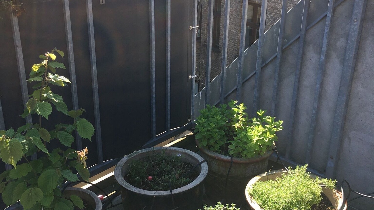 Photo of Outdoor in København V