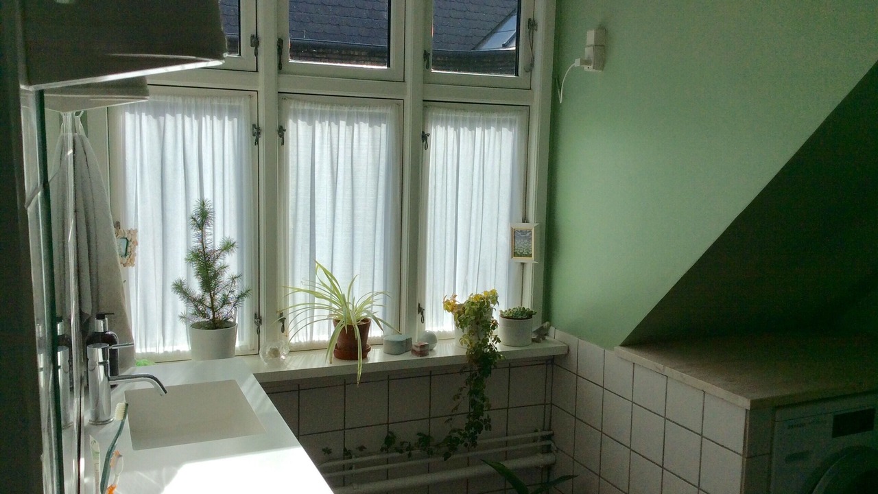 Photo of Others in København V