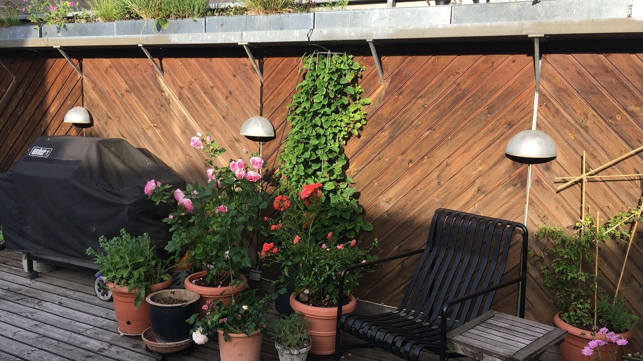 Photo of Patio Balcony in København V
