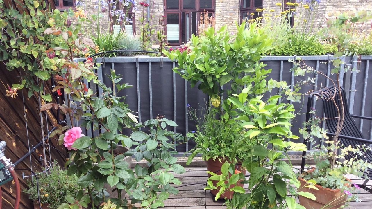 Photo of Outdoor in København V