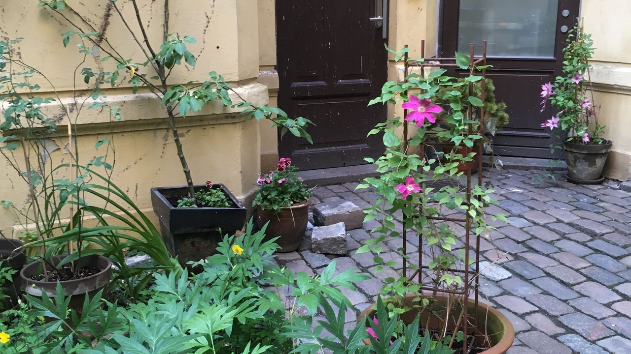 Photo of Outdoor in København V