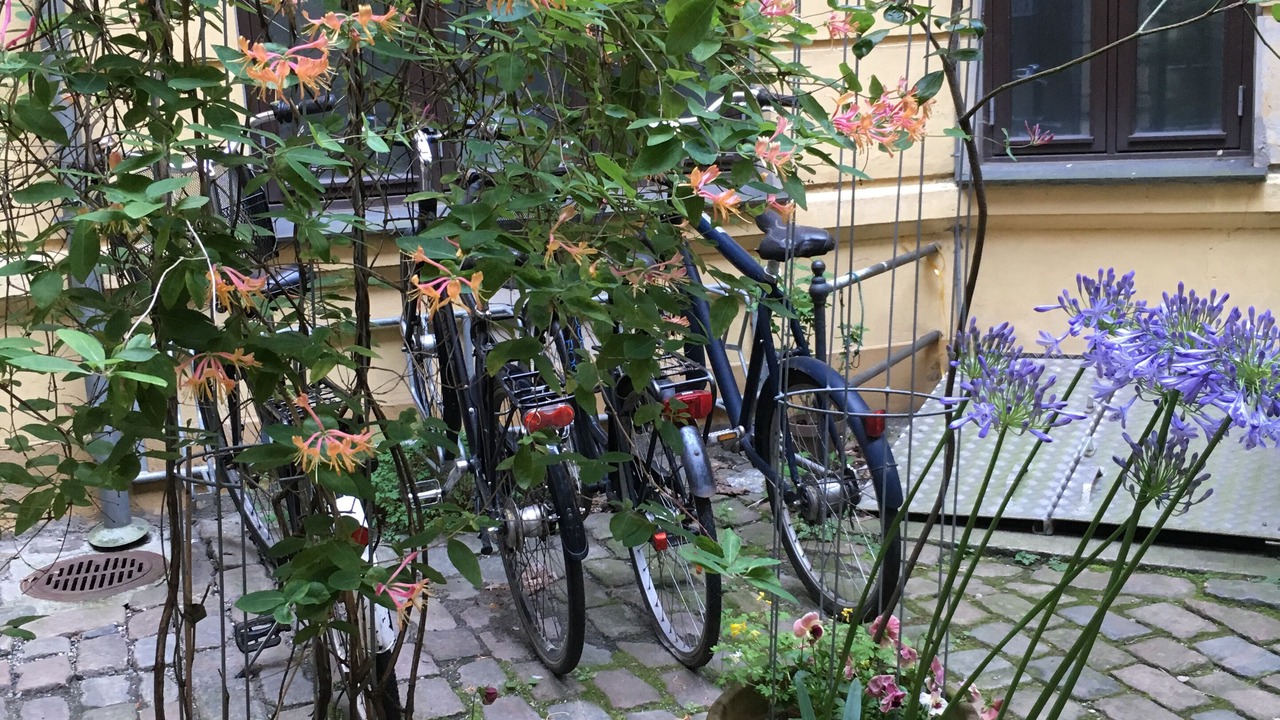 Photo of Outdoor in København V