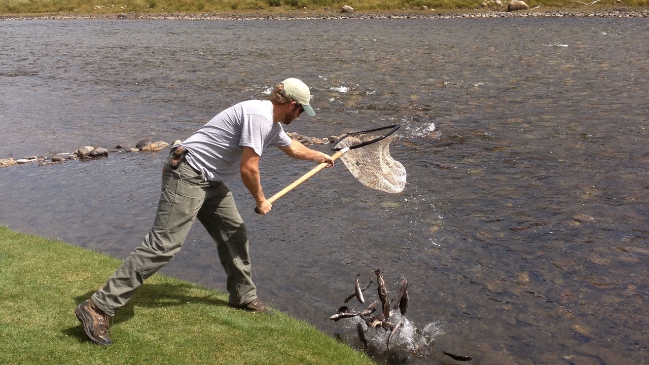 Photo of Outdoor in Stanley