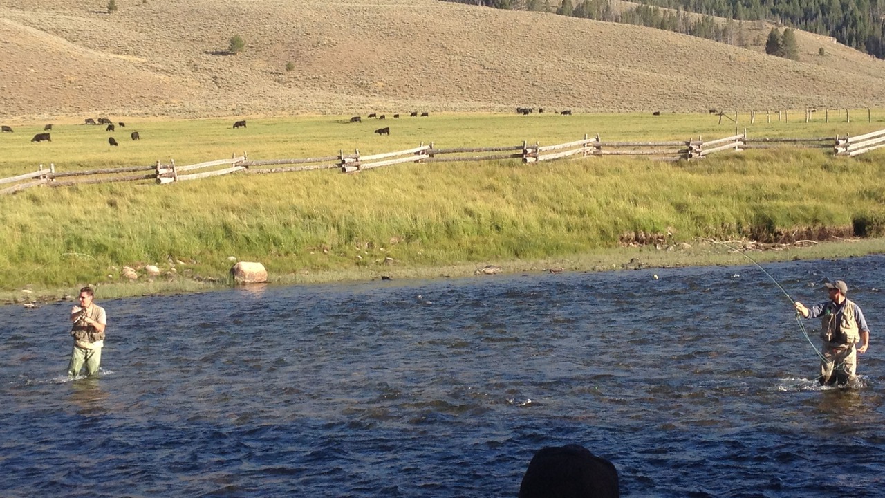 Photo of Others in Stanley