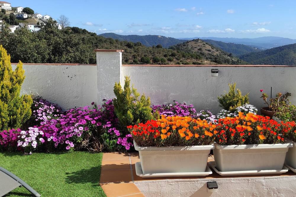 Photo of Outdoor in Pineda de Mar