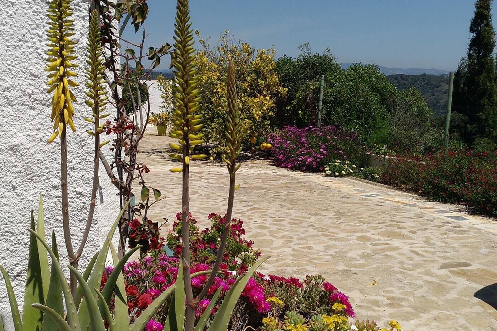 Photo of Outdoor in Pineda de Mar