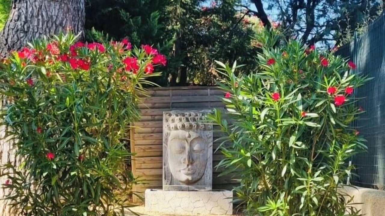 Photo of Outdoor in Les Brugassieres