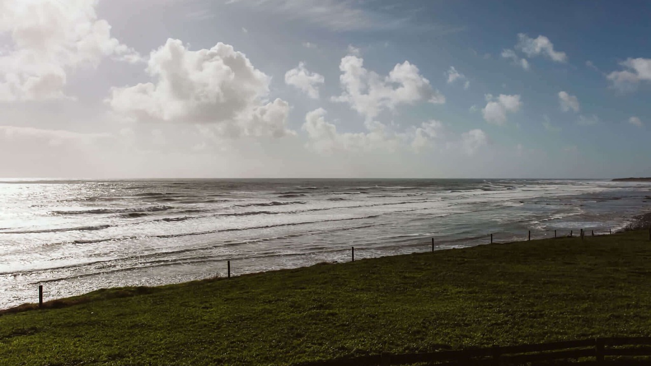 Photo of Others in Bell Block