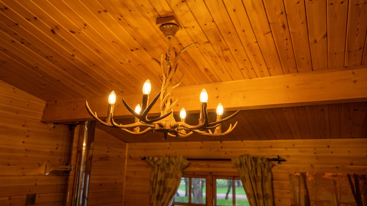 Photo of Others in East Huntspill