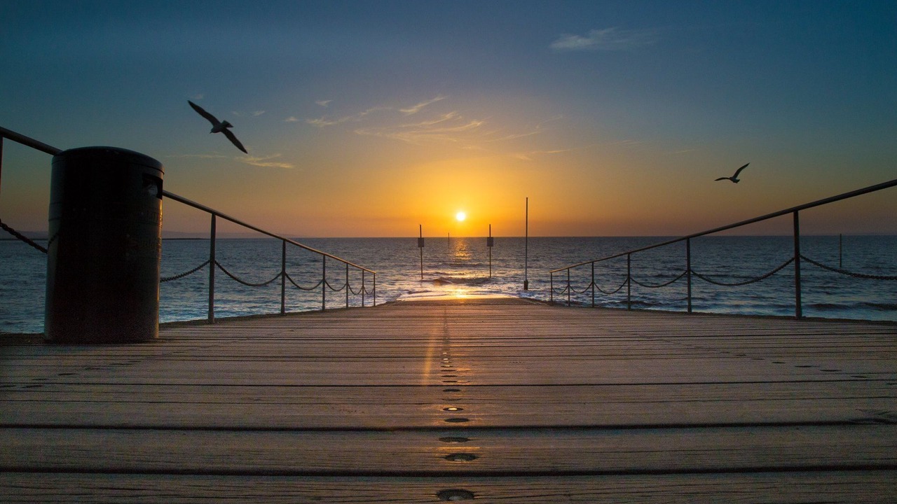 Photo of Others in East Huntspill